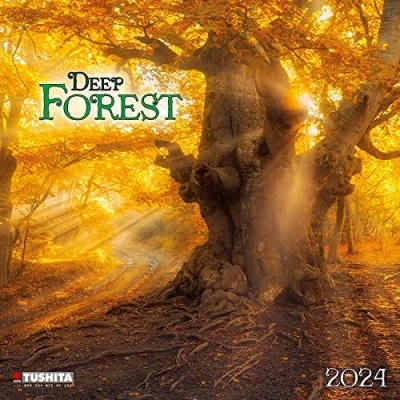Afbeelding van Deep Forest 2024: Kalender 2024