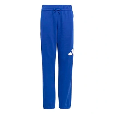 Afbeelding van adidas Uniseks Kind ESSENTIALS BIG LOGO PANTS, team royal blue/white, 7 8 Years