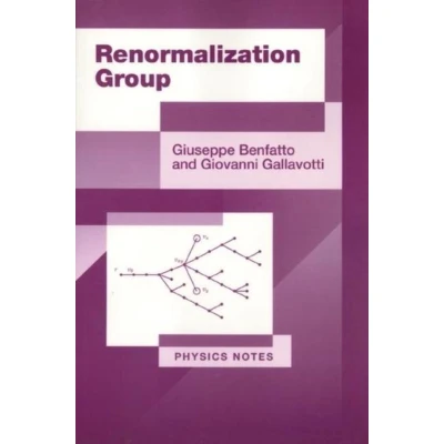 Afbeelding van Renormalization Group