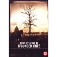 Afbeelding van BURY MY HEART AT WOUNDED KNEE /S DVD NL