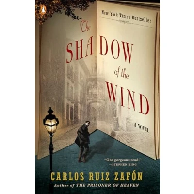 Afbeelding van the Shadow of Wind