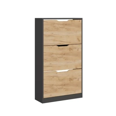 Afbeelding van Vicco Schoenenkast Luca, antraciet/Goldkraft Eiken, 22 x 105 cm met 3 vakken