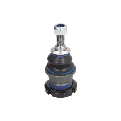 Afbeelding van Delphi Diesel Fuseekogel TC2133