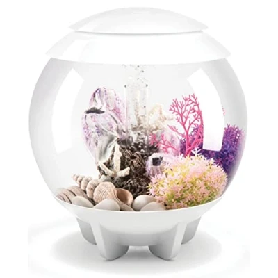 Afbeelding van HALO 15 Aquarium met Multi Colour LED licht afstandsbediening