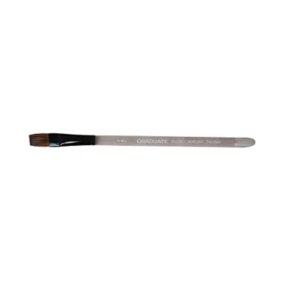 Afbeelding van Daler Rowney 212189026 Creatieve vrijetijdsset Ronde graduate kwast van pony/synthetisch haar voor whitewash effect Maat 26