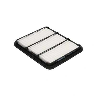 Afbeelding van Filtron Luchtfilter AP 082/8