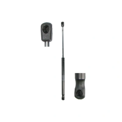 Afbeelding van Gasveer, legbodem (Koffer /Laadruimte) STABILUS 283963