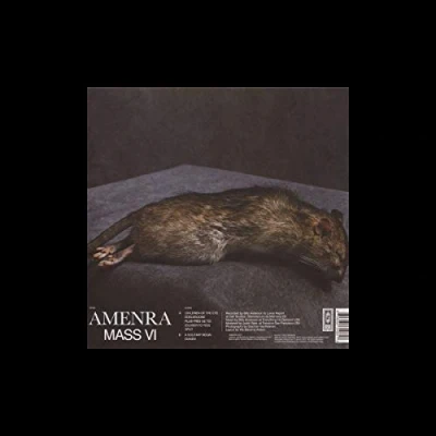 Afbeelding van Amenra Mass Vi (2 LPs)