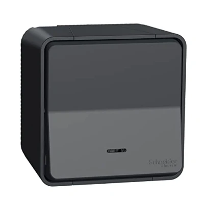 Afbeelding van Schneider electric controleschakelaar grijs mureva stylip55 mur35024