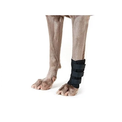 Afbeelding van Back on Track Peesbeschermer Hond Klitteband Zwart L
