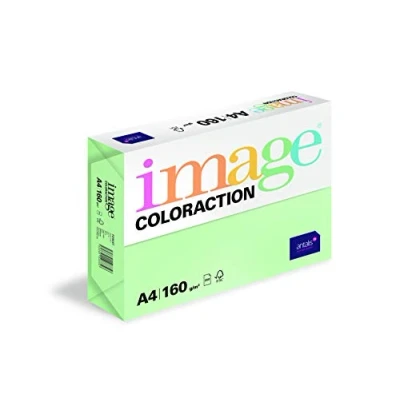 Afbeelding van Kopieerpapier Forrest Middelgroen A4 160 Gram 250 Vel per 5
