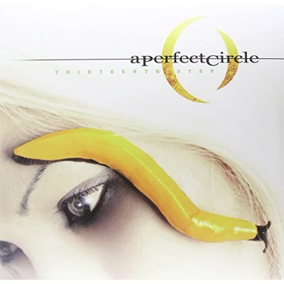 Afbeelding van Thirteenth Step