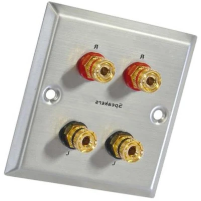 Afbeelding van Dynavox Double Loudspeaker Wallplate Silver