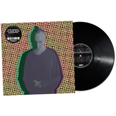 Afbeelding van Fink Beauty In Your Wake Acoustic (LP)