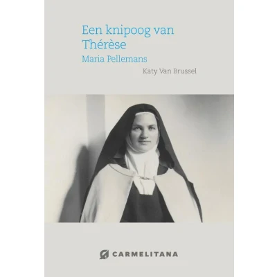 Afbeelding van Een knipoog van Therese (Paperback)
