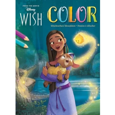 Afbeelding van Deltas Disney Color Wish kleurblok