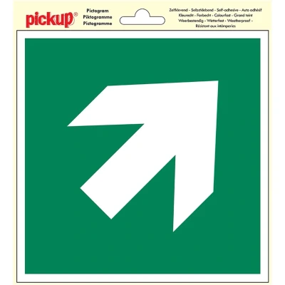 Afbeelding van Deco picto vluchtweg pijl schuin Pickup
