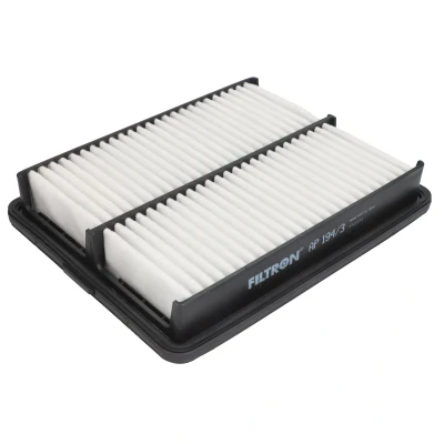 Afbeelding van Filtron Luchtfilter AP 194/3