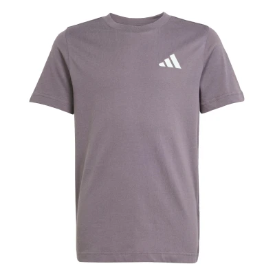 Afbeelding van adidas Performance MERCEDES AMG PETRONAS FORMULA ONE TEAM PREMIUM WOVEN GRAPHIC T SHIRT Kinderen Grijs 128