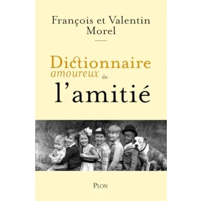 Afbeelding van Dictionnaire amoureux de l&#039;Amitié