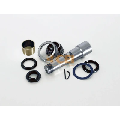 Afbeelding van C.E.I. Fuseepen reparatieset 230.096