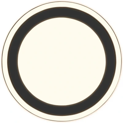 Afbeelding van Reality LED Plafondlamp Plafondverlichting 24.5W Warm Wit 3000K Rond Zwart Kunststof