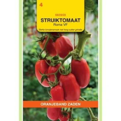 Afbeelding van Tomaat ROMA VF (voorheen Red Hunter / Ventura)