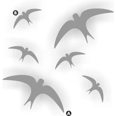Afbeelding van Zwaluw raamstickers set 6 vogel stickers kleur donker grijs (S)