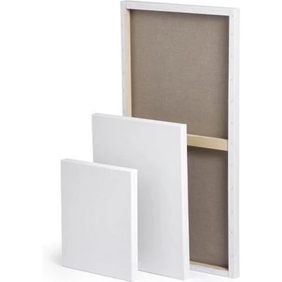 Afbeelding van Louvre canvas 25x50 Schildersdoek