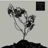 Afbeelding van Innerwoud &amp; Treha Sektori Split (10&quot; LP)