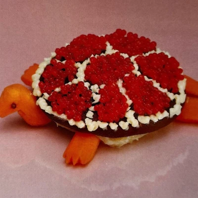 Afbeelding van Sharp Pins Turtle Rock (LP)