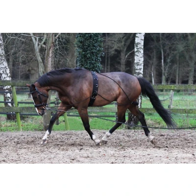 Afbeelding van Horka Pessoa Longeerhulp