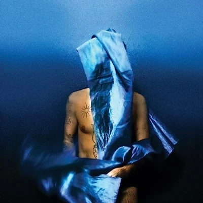 Afbeelding van Devendra Banhart Flying Wig (Cd)