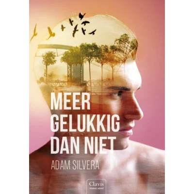 Afbeelding van Meer gelukkig dan niet (Hardback)