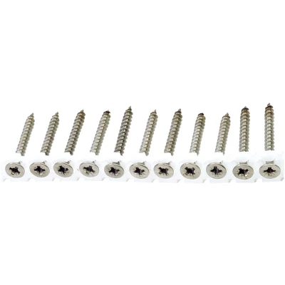 Afbeelding van Spaanplaatschroeven RVS A2 op Band 4.0 x 30 mm Pozi 2 Doos 1000 stuks