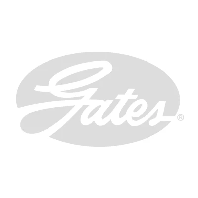 Afbeelding van Gates Spanrol (poly) V riem T38644