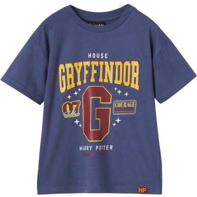 Afbeelding van Harry POTTER Potter® jongensshirt