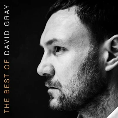 Afbeelding van The Best Of David Gray