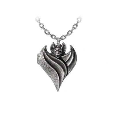Afbeelding van Alchemy Darken Heart Locket Ketting Zilverkleurig