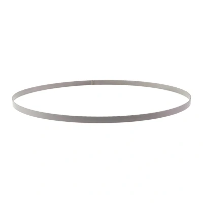 Afbeelding van MILWAUKEE 48390539 lintzaagblad 898,52 mm, tandverdeling 1,0 mm (3 st.)
