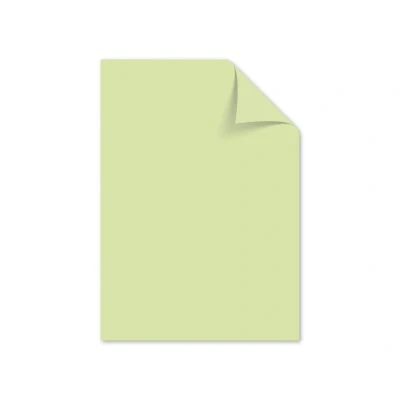 Afbeelding van Papier Kangaro A4 160grs lichtgroen pak 50 vel per 5