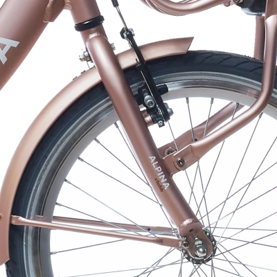 Afbeelding van Alpina Voorvork 22 Clubb rose gold matt