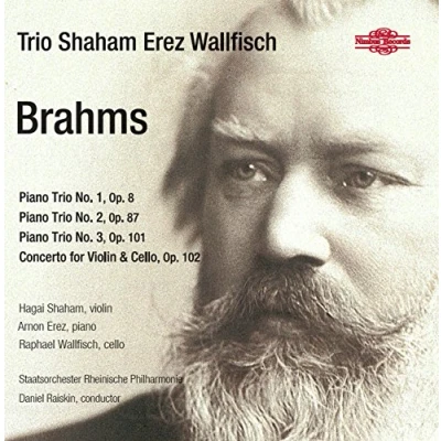 Afbeelding van Trio Shaham Erez Wallfisch Brahms (2 CD)