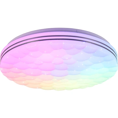 Afbeelding van Reality LED Plafondlamp Plafondverlichting 22W Aanpasbare Kleur RGB Afstandsbediening Dimbaar Sterlicht Rond Wit Kunststof