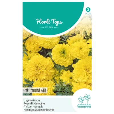 Afbeelding van Tagetes Erecta Nana Mr. Moonlight Hortitops
