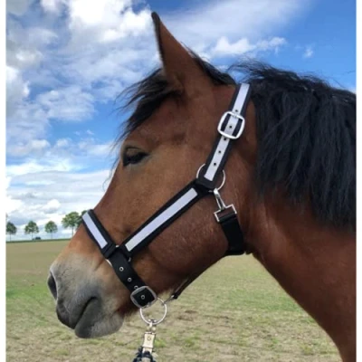 Afbeelding van Halster voor paarden koudbloed, holster xxfull, stalhouder, verstelbaar 2 voudig aan kinriem en nekstuk (zwart wit, XXFull (koudbloed))