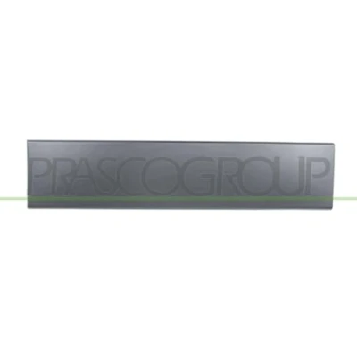 Afbeelding van Sier / beschermingspaneel, deur PRASCO FT9301457
