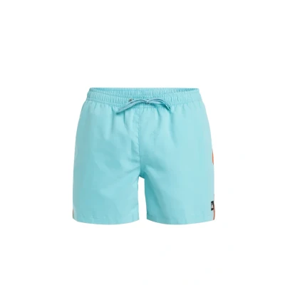 Afbeelding van Quiksilver Everyday Beach Zwemshorts, Heren, Maat: XS, Bha0