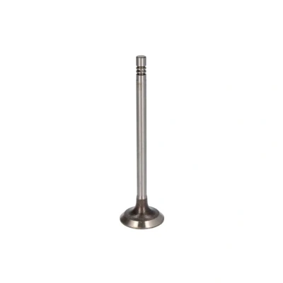 Afbeelding van Ae Inlaatklep V95001