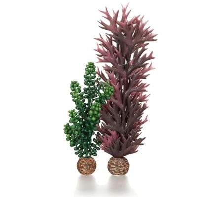 Afbeelding van biOrb Sea Pearls &amp; Zeewier olijfgroen